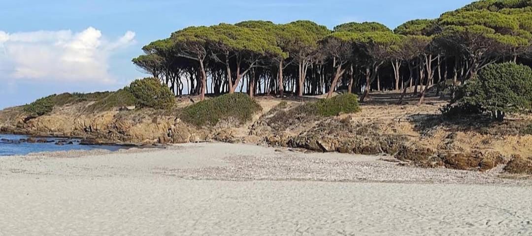 Casa Salvo Lägenhet Budoni Exteriör bild