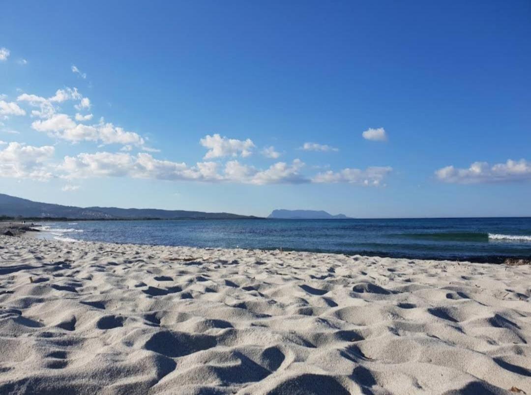 Casa Salvo Lägenhet Budoni Exteriör bild